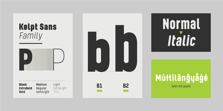 Kelpt Sans B1 Black Italic Font preview